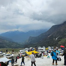 Travelling Bud Shimla