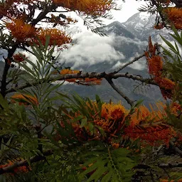 TRIPPY MOUNTAIN SHIMLA