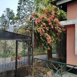 Tuli Guest House