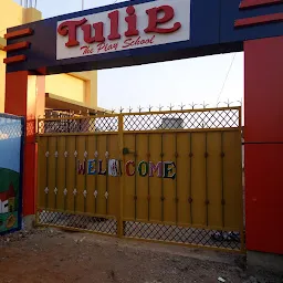 Tulip Play School, Gumla, Jharkhand