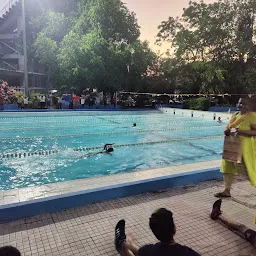 Turtles Swim School