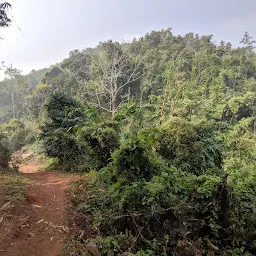 Tusker Trail for Mountain Biking Enthusiasts