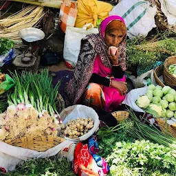 Udaipur Market