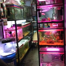 Umama Aquariums
