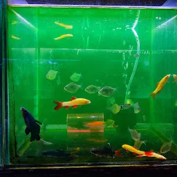 Uncle's Aquarium
