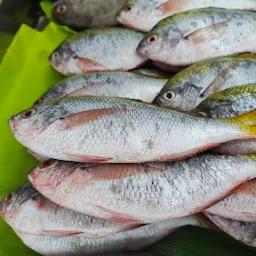 ungal meenavan Tiruvannamalai