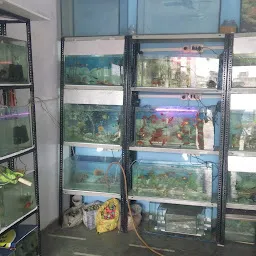 Unique Aquarium