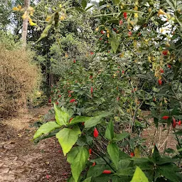 University Botanical Garden