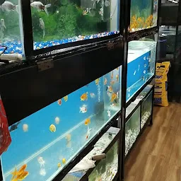 Unnati Aquarium & pet shop