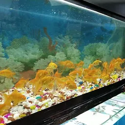 Unnati Aquarium & pet shop