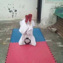 UPADHYAY GURUKULAM TAEKWONDO DOJANG