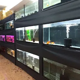 V K Aquariums