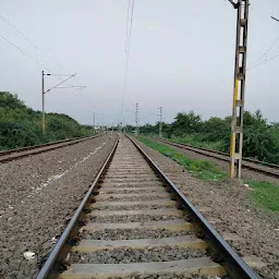 Valankulam Pond Bank