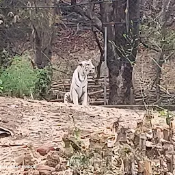 van vihar national park