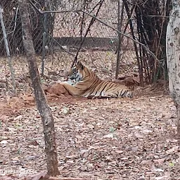 van vihar national park