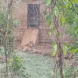 van vihar national park