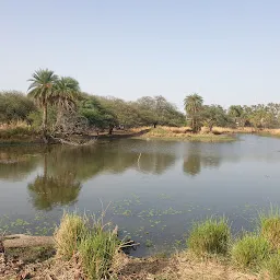 Van Vihar National Park Bhopal