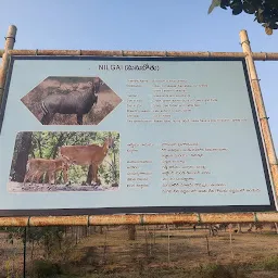Vana vignyan(Kakatiya zoological park)