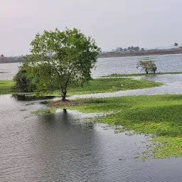 Vandalur Lake வண்டலூர் பெரிய ஏரி