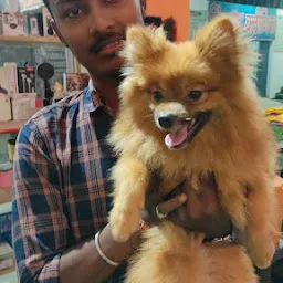 Varanasi Dog World