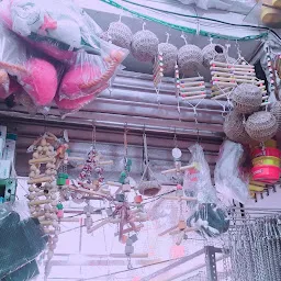 Varanasi unique pet shop