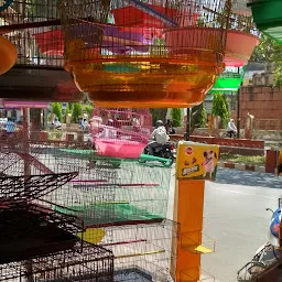 Varanasi unique pet shop