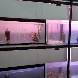 Vastu Aquarium