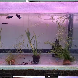 Vastu Aquarium