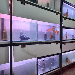 Vastu Aquarium