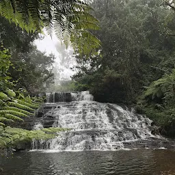 Vattakanal Waterfalls