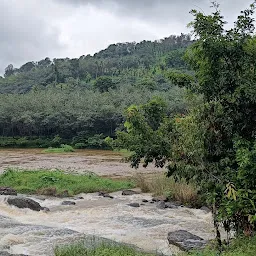 Vattathil Waterfall Kalladathanni