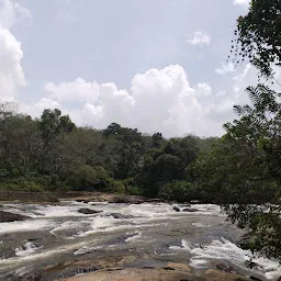 Vattathil Waterfall Kalladathanni