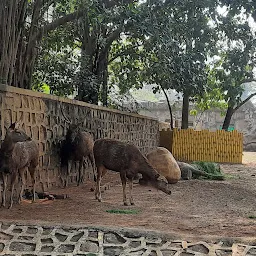 Veermata Jijabai Bhosale Botanical Udyan and Zoo