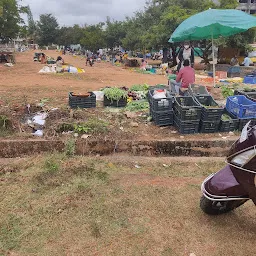 Vegetable Market