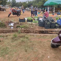 Vegetable Market