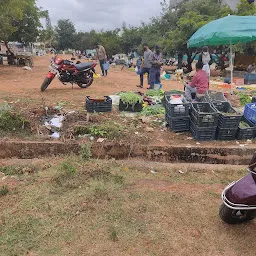 Vegetable Market