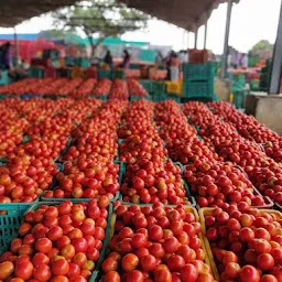 Vegetable Market