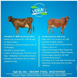 VEKA DAIRY