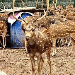 Vellore Amirthi Zoological Park