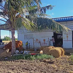 Velmurugan thenmozhiya Farming