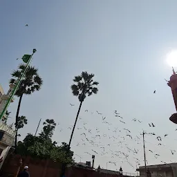 Versova Village Fish Market