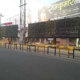 Vertical Garden by Nagar Palika Parishad, Muzaffarnagar