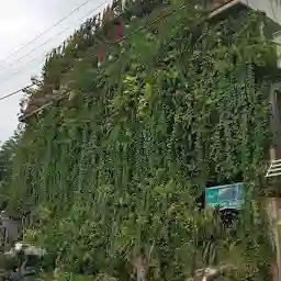 Vertical Garden Home Stay