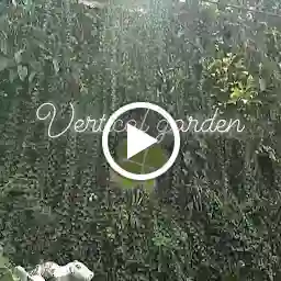 Vertical Garden Home Stay