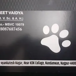 VetArena Animal Clinic