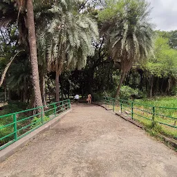 View Point Bridge