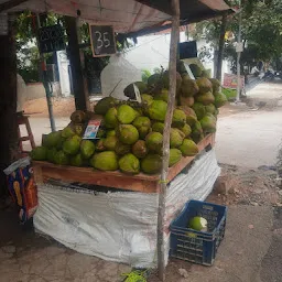 Vijaya Lakshmi Coconuts
