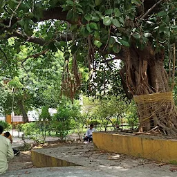 Vikas Nagar Sector - 1 Park