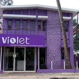 Violet costumes