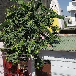 Vishveshwar Mahadev Mandir